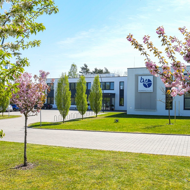 Berufsakademie Rhein-Main mit blühenden rosa Bäumen im Vordergrund.